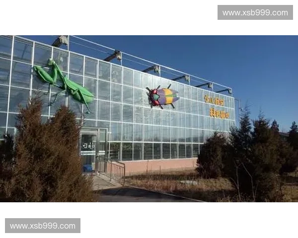 萌动全场可爱英雄集结,探索他们背后的奇妙世界与成长历程 萌动全场可爱英雄集结,探索他们背后的奇妙世界与成长历程